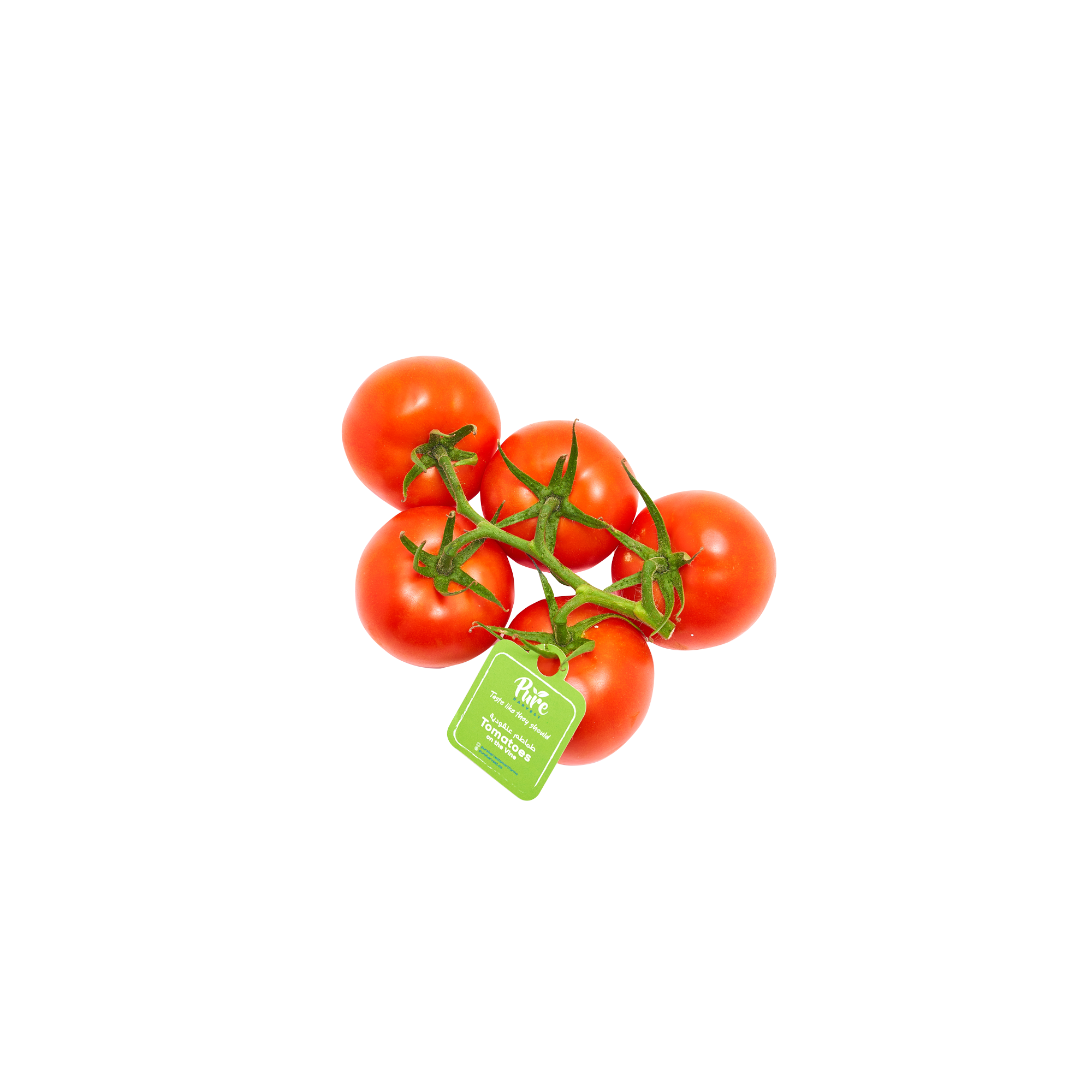 Our tomatoes pure harvest